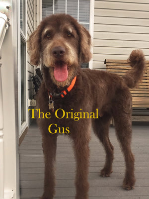 The Original Gus